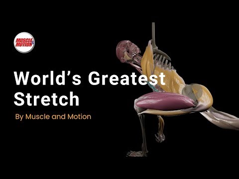 World’s Greatest Stretch: Full-Body Mobility in Motion