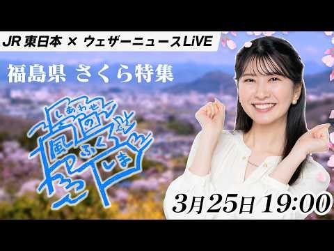 【JR東日本×ウェザーニュース】福島の春がすごい！桜名所と春旅の魅力をたっぷり紹介｜ふくしまDC特集