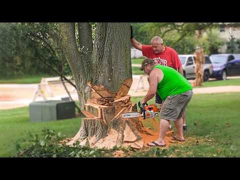 Idiots With Chainsaws: Tree Cutting Fails | Extreme Dangerous Logging Truck Fails #15
