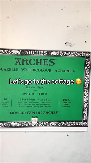 Canadian Wolf Birds and so much love 🥰 #painting #heatedrivalry #thecottage #pickletok #pickles