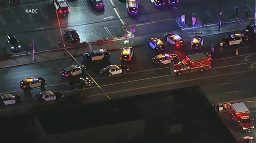 At least 2 dead after shooting at LA strip mall