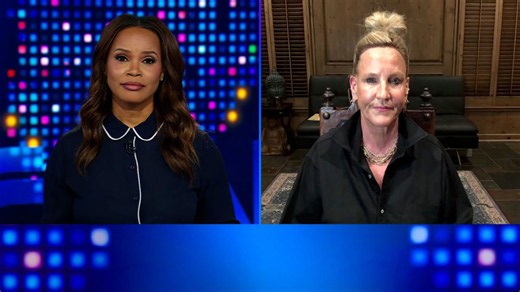 Erin Brockovich joins fight against AI data centers: 'It's shocking'