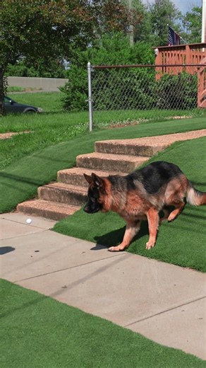 The most practical use of fetch