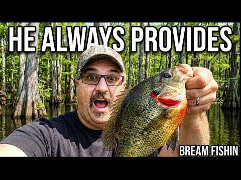 I Wasn't Ready for This — Giant Shellcracker Crashes My Bream Fishing Hole