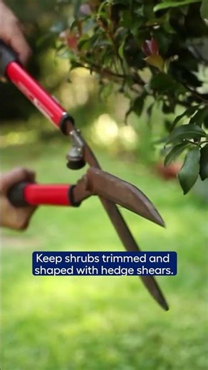 Advanced Tools for Gardening