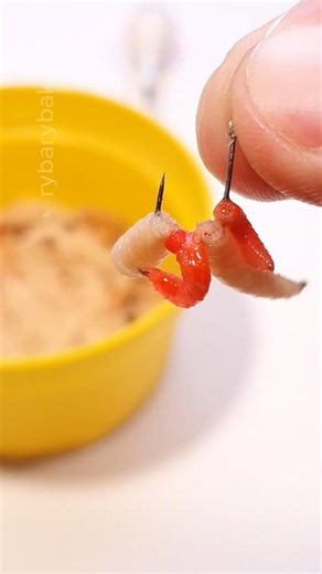Secret Bait Hack: Big Fish Love This! 🎣 4 Maggots vs 1: Why You Should Try This