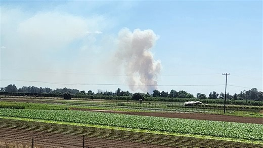 North Fire fully contained after burning 67 acres in Fresno County, CAL FIRE says