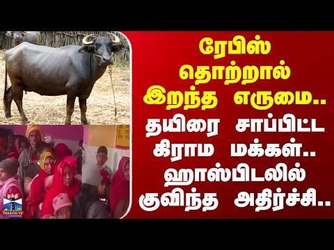 Buffalo Curd | Death | ரேபிஸ் தொற்றால் இறந்த எருமை.. தயிரை சாப்பிட்ட கிராம மக்கள்..
