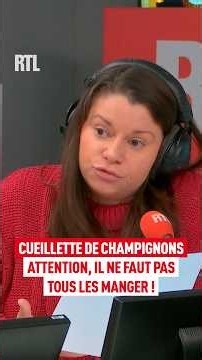 Cueillette de champignons : attention, il ne faut pas tous les langer !