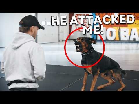 Family's Aggressive Dog Gets One Final Chance to Live