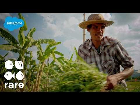 How Rare Uses Agentforce to Support Farmers & Scale Resilience