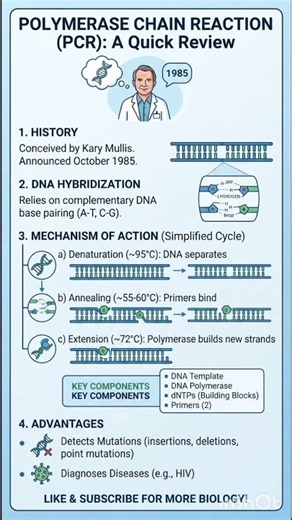 Master PCR! 🧬🔬 The Science Behind DNA Replication
