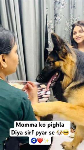 🥺🐶Momma ko pighla diya sirf pyaar se ❤️#youtubeshorts #viral #trending #love #shorts #shortvideo