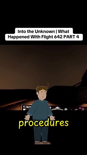 Investigation of the MD-11 Crash Incident