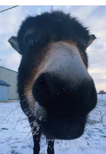 Celebrate National Donut Day with Delicious Treats