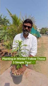 How to Protect Young Saplings During Winter ❄️