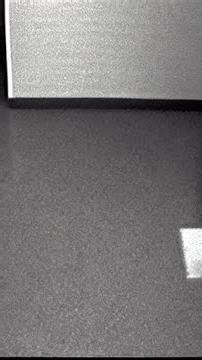 The Unexplained Abduction of Betty and Barney Hill #shorts #horror