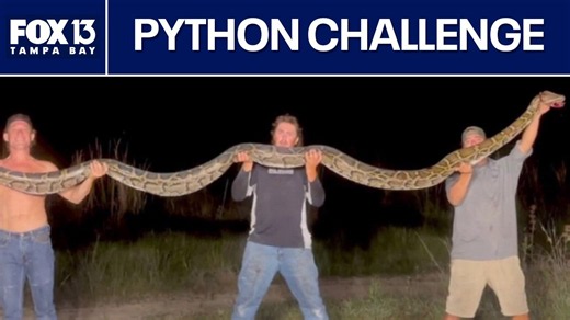 Florida Python Challenge begins