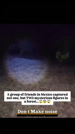 A group of friends in Mexico were watching strange lights moving across the sky. At first, it seemed like a normal UFO sighting... but everything changed when those lights suddenly landed in a remote forest.Curious, they decided to go check it out... but what they found was completely unexpected. At first, they noticed what looked like the face of a strange figure - something they believed could be an alien.But then things got even stranger...
