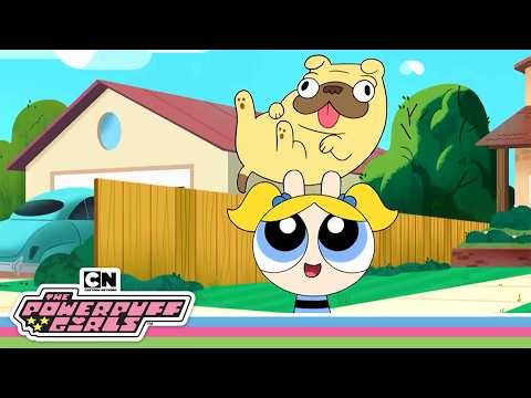 Bubbles LOVES Animals 💙 | Powerpuff Girls | Cartoon Network