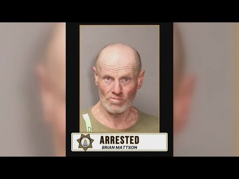 Knife suspect arrested twice in one day sparks fear in Arden Park