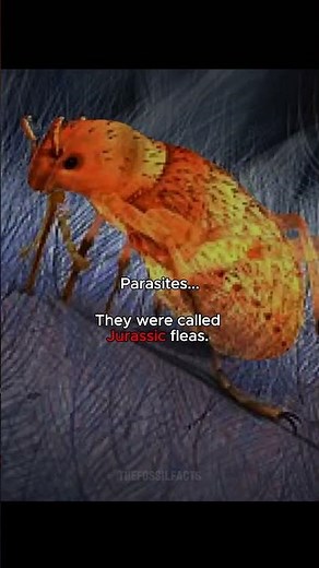 You Won’t Believe this Small Creature Dinosaurs Feared 😳