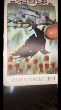 Thee #sophia #seers PROTECTOR ⚔️ ‪@rootsandresonance‬ ‪@TarasDivineTruth‬ ‪@sheapila‬ ‪@divinexdove‬ #tarot