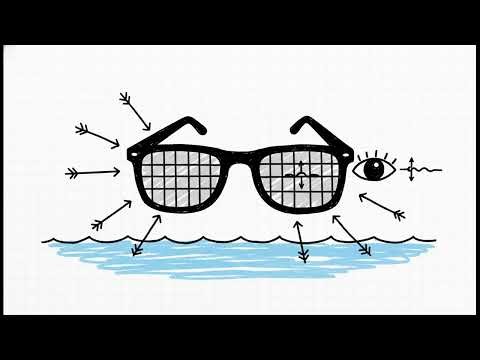 The Experiment That Proved Light Is a Wave