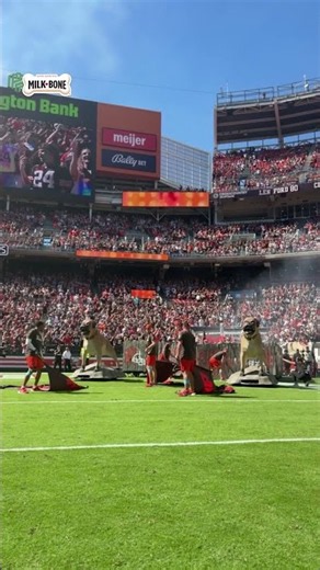 The Browns are coming!