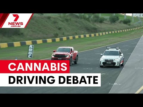Medicinal cannabis driving laws divide NSW | 7NEWS