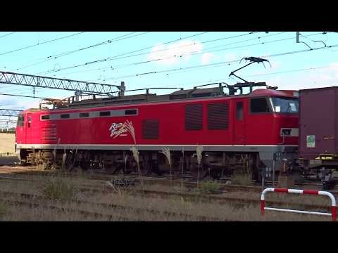 2026.10.17 貨物列車（4091列車）秋田駅発車