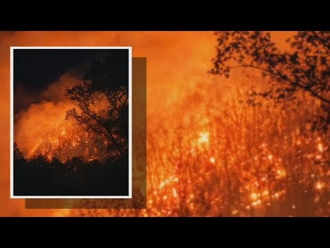 Forest fire burns bone-dry Buzzard Mountain, 60% contained | WSB-TV