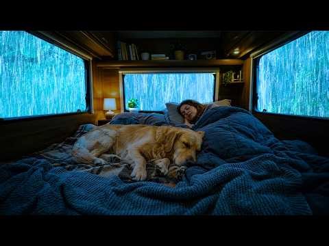 Rain Sounds for Sleeping - Cozy Car ASMR with Heavy Rain on the Windows at Midnight