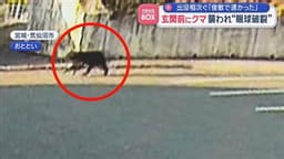 玄関前にクマ…襲われ“眼球破裂”　出没相次ぐ「俊敏で速かった」 - 最新の社会ニュース【随時更新】 (ニュース) | 無料動画・見逃し配信を見るなら | ABEMA