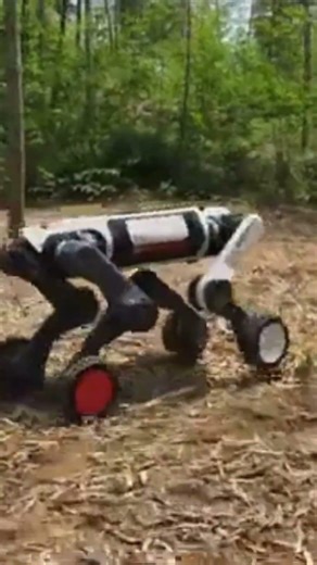 The Hybrid Robot Built For Extreme Terrain 🤖