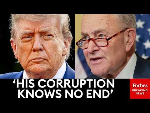 'He Made A Deal With Himself!': Schumer Absolutely Shreds Trump Over $1.8 Billion Weaponization Fund