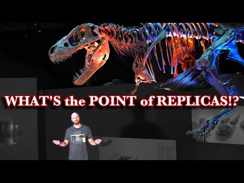 WHAT is the POINT of REPLICA FOSSILS?