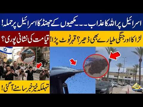 Bees Attack in Israel | Is This a Sign? | Viral Video | Capital TV