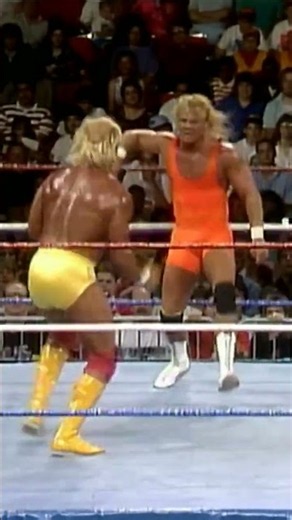 HOGAN VS MR PERFECT