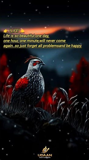 “Life Is So Beautiful — One Day, One Hour, One Minute Never Comes Again 🌸”#motivation #quotes #short