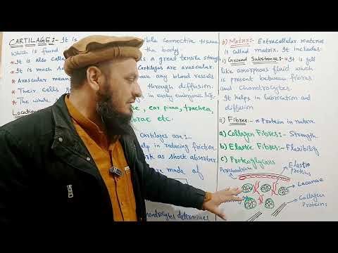 Unit#13-Lecture#06|| Biology 10th (Pashto) || Topic:- Cartilage and its composition