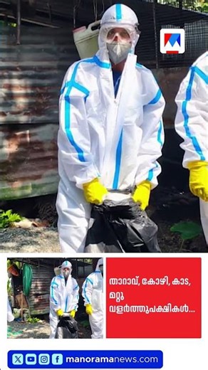 പക്ഷിപ്പനി: ആലപ്പുഴയിൽ കോഴി, താറാവ് വിൽപനയ്ക്ക് നിരോധനം #Alappuzha #BirdFlu