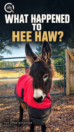 Hee Haw’s Death: Two Accounts, One Pasture.