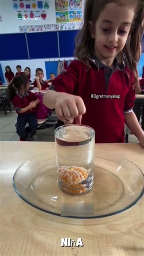 Intentaron todo… ¡pero solo una niña resolvió el desafío! 🤯🍊