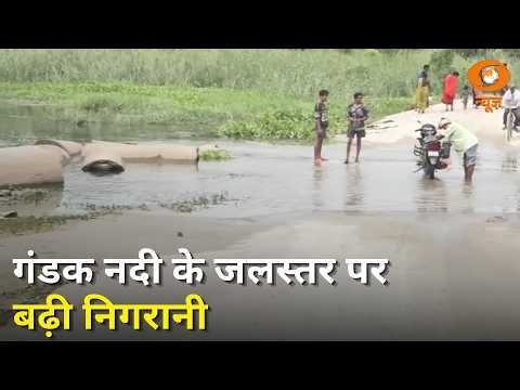 Samachar | महराजगंज-कुशीनगर में गंडक नदी के जलस्तर पर बढ़ी निगरानी | अन्य प्रमुख खबरें | DD News