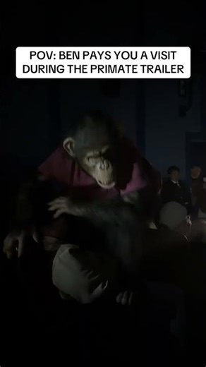 Primate | Ben Surprise | Paramount Pictures UK