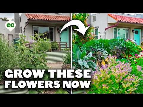 9 Flowers EVERY Vegetable Gardener Should Grow (And Why)