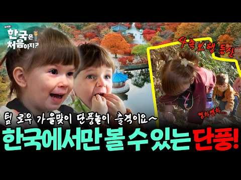 "텍사스엔 단풍이라는 단어도 없어요🍁" 데이비드 가족 전원 난생처음 보는 알록달록 K-단풍~~ | #어서와한국은처음이지 | EP.170