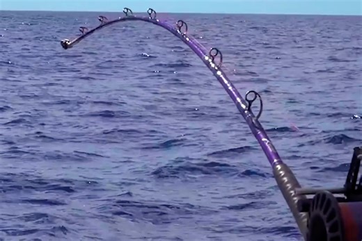 How To Catch MONSTER Swordfish | South Florida Fishing Channel