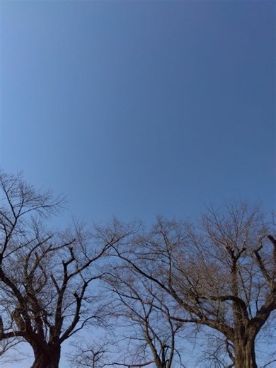 あいの里